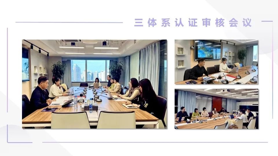 【喜报】博数智源顺利通过“三体系”认证(图4)